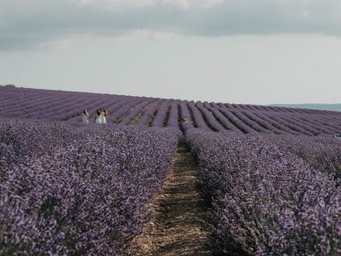 regenerative agriculture